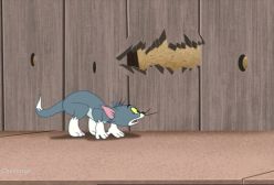 کارتون تام و جری جدید 2