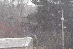 لحظه زیبای بارش برف درقروه کردستان هم اکنون | 6 بهمن 1403