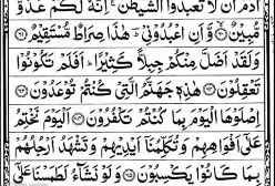 تلاوت بسیار زیبای سورة يس (یاسین)