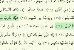 تلاوت سوره مطففین. استاد پرهیزگار