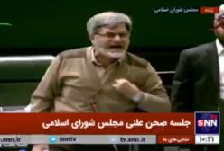 کوچک زاده نماینده مجلس: مالیاتم را صرف لس آنجلسی های پفیوز نمیکنم | 24 دی 1403