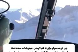 تولد نوزاد دختر در آسمان! ۲۳ دی ۱۴۰۳