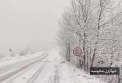 نیمی از کشور بارانی و برفی / اعلام هشدار نارنجی برای برخی استان ها | 8 بهمن 1403