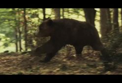 رونمایی از تیزر تاکسیدرمی