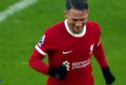 ۱۰۰ گل برتر سال ۲۰۲۳