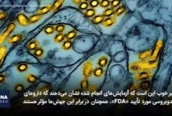 سویه جدید آنفولانزای پرندگان جایگزین کرونا ! | ۳ بهمن ۱۴۰۳