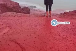 تصاویری از جذابیت شگفت انگیز ساحل سرخ جزیره هرمز هنگام بارندگی شدید | 21 بهمن 1403