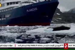 ببینید! سفر پرحاشیه معاون رئیس‌جمهور که دردسرساز شد! | 16 فروردین 1404