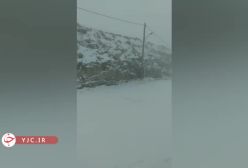 ببینید! بارش زیبای برف در کاشان | 8 بهمن 1403