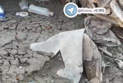 ببینید! تصاویری از وضعیت بحرانی سد کرج / کاهش شدید حجم آب سد کرج | 22 اسفند 1403