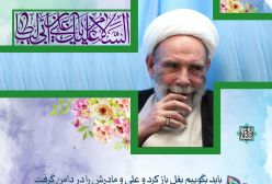 تولدی نمونه