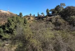 آخرین وضعیت هالیوود بعد از آتش سوزی لس آنجلس! ۲۴ دی ۱۴۰۳