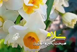 فال و طالع بینی روزانه ۱۶ بهمن ۱۴۰۳!