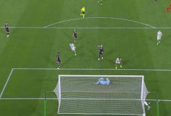 گل زیبای قیچی برگردان!