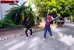 نبرد مرد عنکبوتی و اسپایدرمن / تولد شگفت انگیز قهرمانان/ مرد عنکبوتی