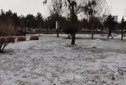 زنجان سفیدپوش شد! ۱۷ دی ۱۴۰۳