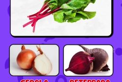 میوه های پرتغالی