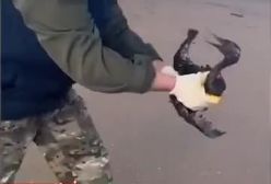 اعلام وضعیت اضطراری در روسیه در پی آلودگی آب| ۴ دی ۱۴۰۳