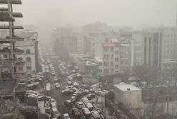 هم اکنون بارش زیبای برف در محله سعادت آباد تهران | 29 دی 1403