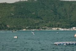 سریال تپه بادخیز قسمت ۱۷۷ با زیرنویس فارسی