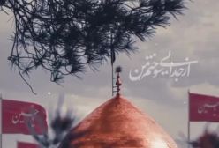 دیدن زینب نیایی !!