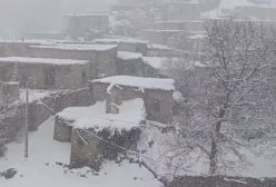 ببینید! لحظه زیبای بارش برف در طبیعت خراسان رضوی | 3 بهمن 1403