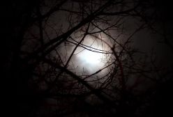 عید مبعث پیامبر حضرت محمد (ص) مبارک-