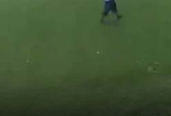 رکورد قتل‌ شهروندان به دست پلیس آمریکا در سال ۲۰۲۴ ثبت شد | 15 دی 1403