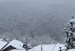 بارش زیبای برف ارتفاعات ساری! ۹ بهمن ۱۴۰۳
