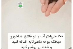 رهایی از شر حشرات موذی و سوسک