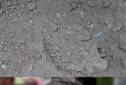 عزاداری مازیار لرستانی برای حیوان خانگی‌اش