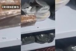 کارگاه تولید سوسیس و کالباس با گوشت گراز   در دماوند پلمپ شد