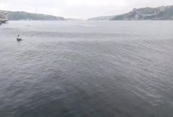 ببینید/ وضعیت هولناک دریای مرمره هنگام وقوع زلزله ۶.۲ ریشتری ترکیه |  اردیبهشت 1404