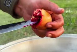 آشپزی در طبیعت: صید و کباب ماهی در کنار دریاچه | 15 مرداد 1404