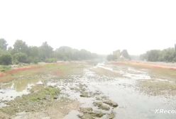 هواشناسی: هوای ناسالم و غبارآلود در شرق و مرکز کشور| 19 تیر 1404