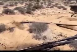 ببینید!  روش حیرت آور ‎قاچاق سوخت آن هم با تاسیسات زیرخاکی | 21 فروردین 1404