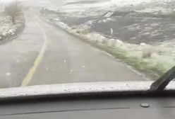 ببینید! بارش برف بهاری در طرقبه خراسان رضوی | 29 فروردین 1404