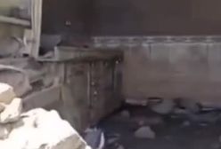 فوری! سرکرده اشرار جیش‌الظلم کشته شد + فیلم لحظه کشته شدن | 29 فروردین 1404