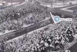 تصاویری از بارش زیبای برف در ارومیه صبح امروز | 18 بهمن 1403