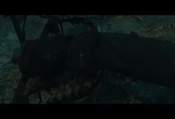 فیلم هیولای چوب بر