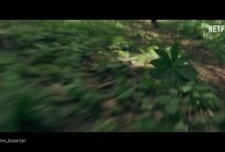 تیزر فیلم DON'T MOVE 202۴ filo