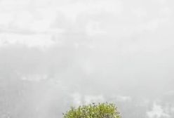 ببینید! بارش برف بهاری در کلیبر آذربایجان‌ شرقی | 27 فروردین 1404