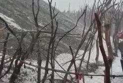 ببینید/ بارش عجیب باران و تگرگ شدید آن هم در استان هرمزگان گرمسیر | 21 اردیبهشت 1404