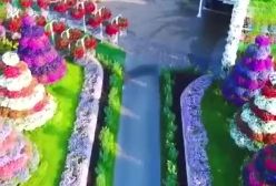 فومن جهنم دارد اما دبی رسما از بهشت رونمایی کرد | تصاویر بهشت دوبی را ببینید | 11 خرداد 1404