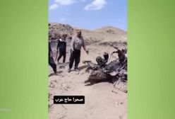 آقای تحلیلگر  سفر پزشکیان به باکو  واکنش دختر سردار شهید شادمانی