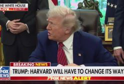 ترامپ : ورود خارجی ها به دانشگاه هاروارد ممنوع | ما اینجا دردسر نمیخواهیم | 3 خرداد 1404