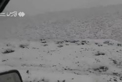 هواشناسی: بارش برف بهاری در غرب اصفهان! ۲۳ فروردین ۱۴۰۴