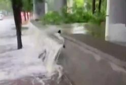 ببینید| سیل مرگبار در چین تاکنون دست‌کم ۴۴ کشته برجای گذاشته | 9 مرداد 1404