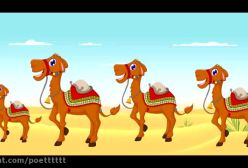 شعر کودکانه حیوانات