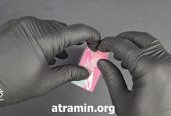 آنباکسینگ عطر  الیزابت آردن گرین تی ساکورا بلوسوم در عطرآمین